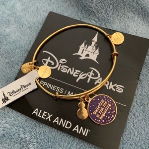 Alex and ani bracelet